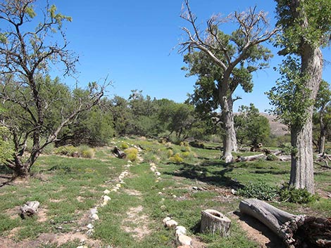 Spring Mountain Ranch State Park