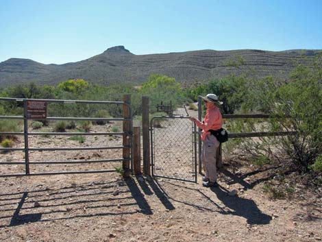 Wheeler Camp Spring Trailhead