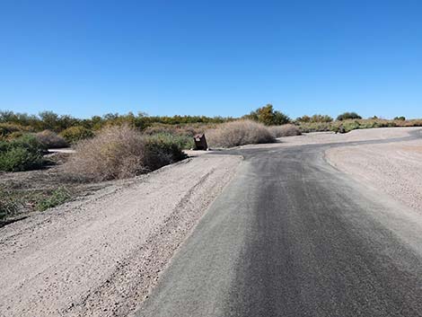 Dragonfly Divide Trail