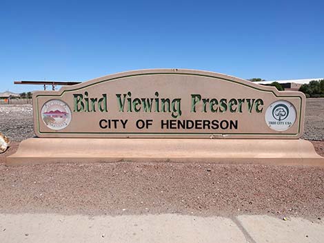 Henderson Bird Viewing Preserve