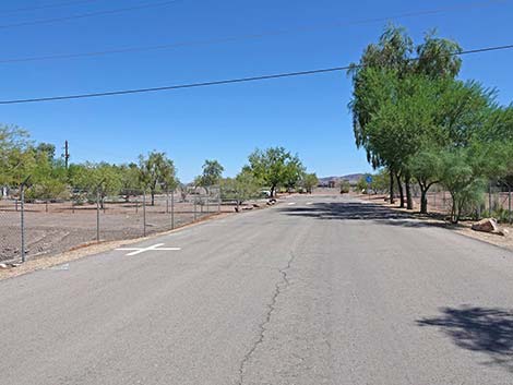 Henderson Bird Viewing Preserve