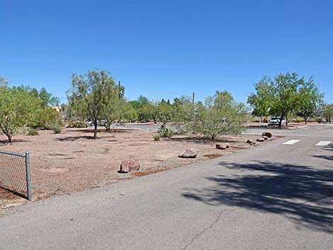 Henderson Bird Viewing Preserve