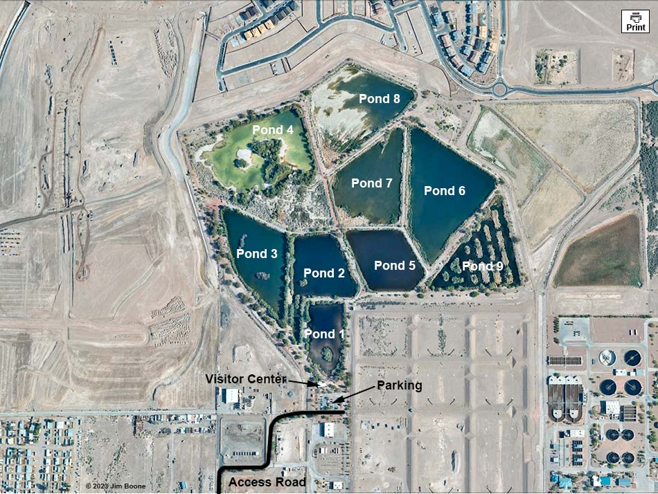 Henderson Bird Viewing Preserve Site Map