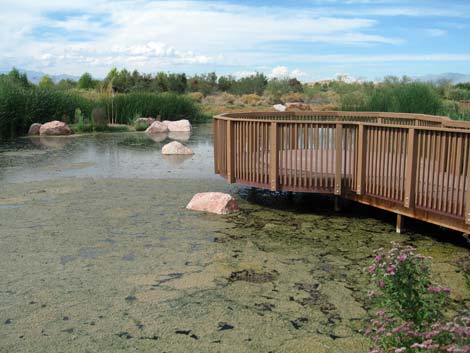 Wetlands Park