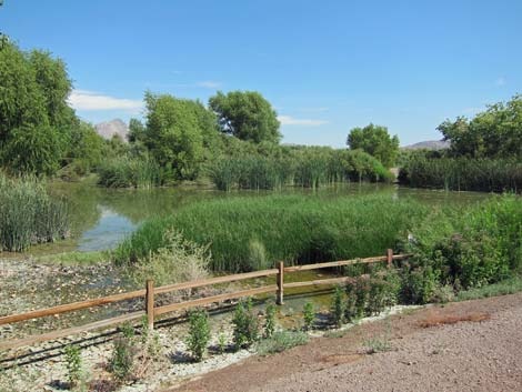 Clark County Wetlands Park