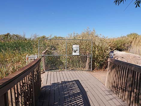 Clark County Wetlands Park