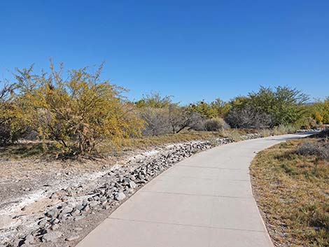 Clark County Wetlands Park