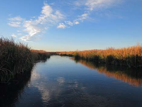 Clark County Wetlands Park