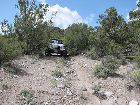 4WD Dirt Roads