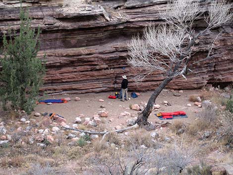 grand canyon LNT campsite