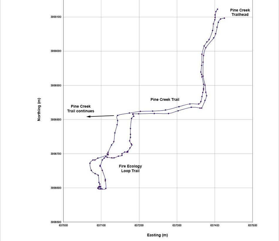 GPS Tracks