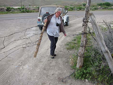 Wire Gate