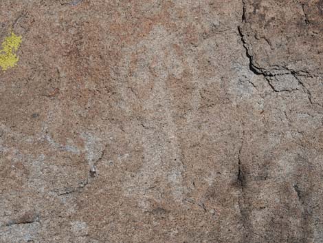 Ash Springs Petroglyph