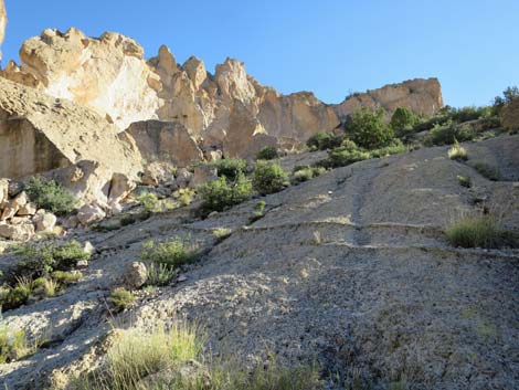 Rainbow Canyon Rock Art