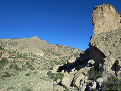 Rainbow Canyon Rock Art