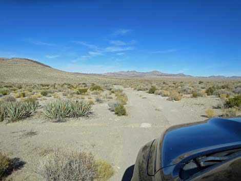 Crystal Wash Main Road