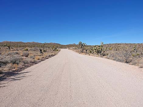 Grasslands Trail