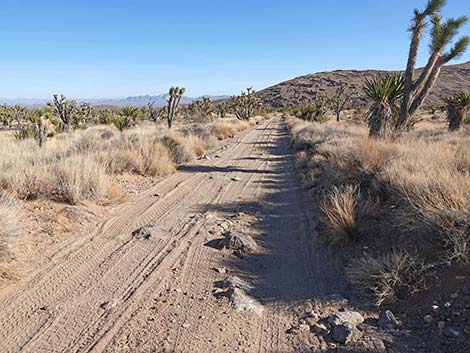 Grasslands Trail