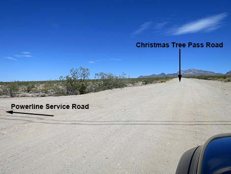 Christmas Tree Pass Road