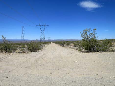 Christmas Tree Pass Road