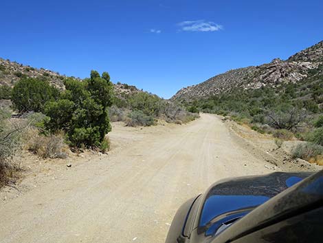 Christmas Tree Pass Road