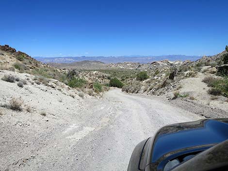 Christmas Tree Pass Road