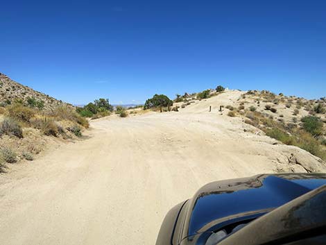 Christmas Tree Pass Road