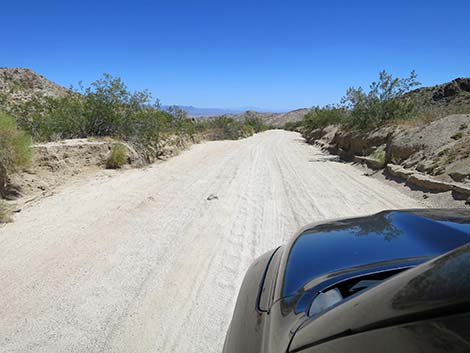 Christmas Tree Pass Road