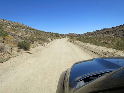 Christmas Tree Pass Road