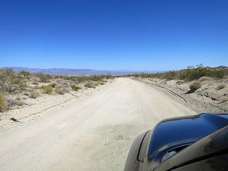 Christmas Tree Pass Road