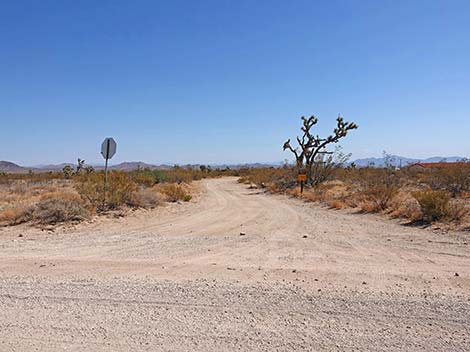 Walking Box Road