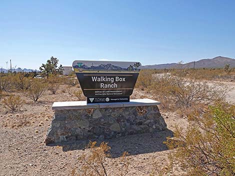 Walking Box Road