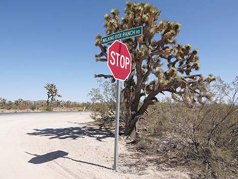 Walking Box Road