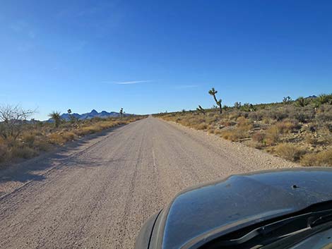 Walking Box Ranch Road