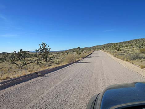 Walking Box Ranch Road