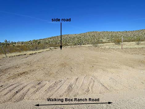 Walking Box Ranch Road