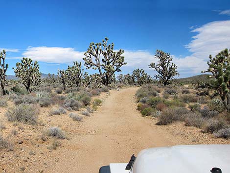 Walking Box Ranch