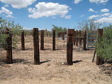 Walking Box Ranch, Grounds