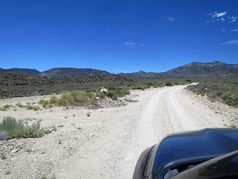 Logan Canyon Campsite