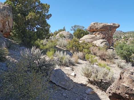 Paiute Rock