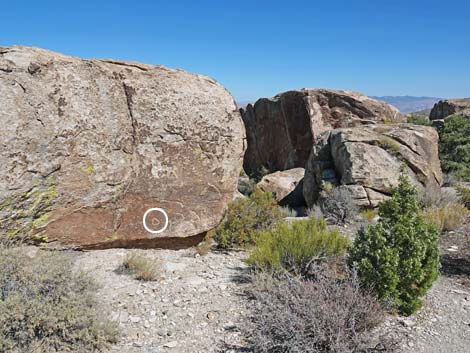 Paiute Rock