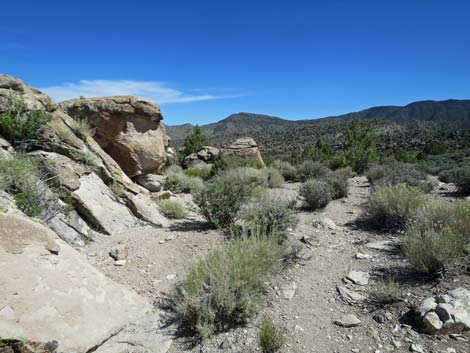 Paiute Rock