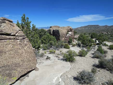 Paiute Rock