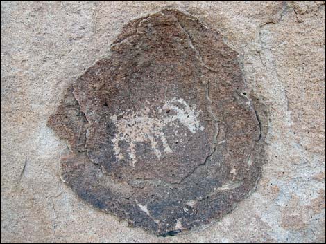 paiute rock