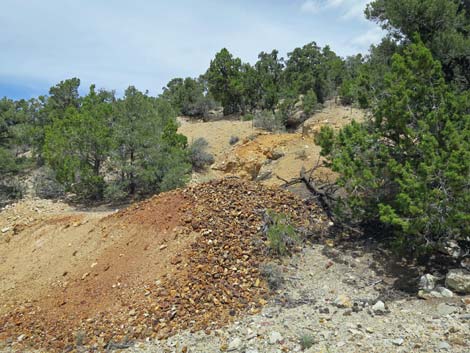 Rosario Mine