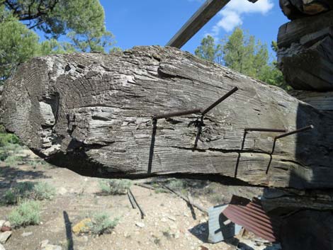 Rosie's Mining Cabin