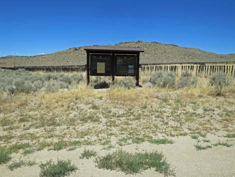 Timber Pass Corral