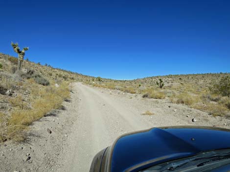 Badger Valley Road