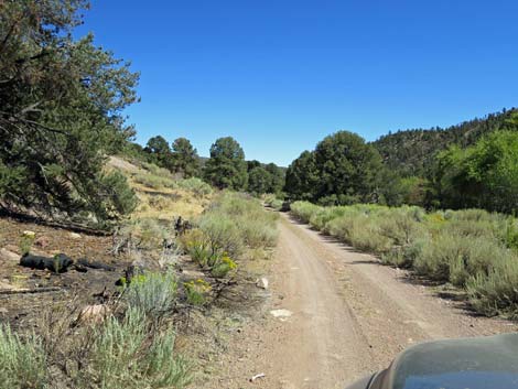 Cherry Creek Road