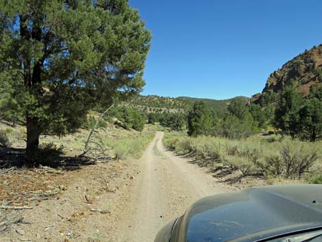 Cherry Creek Road